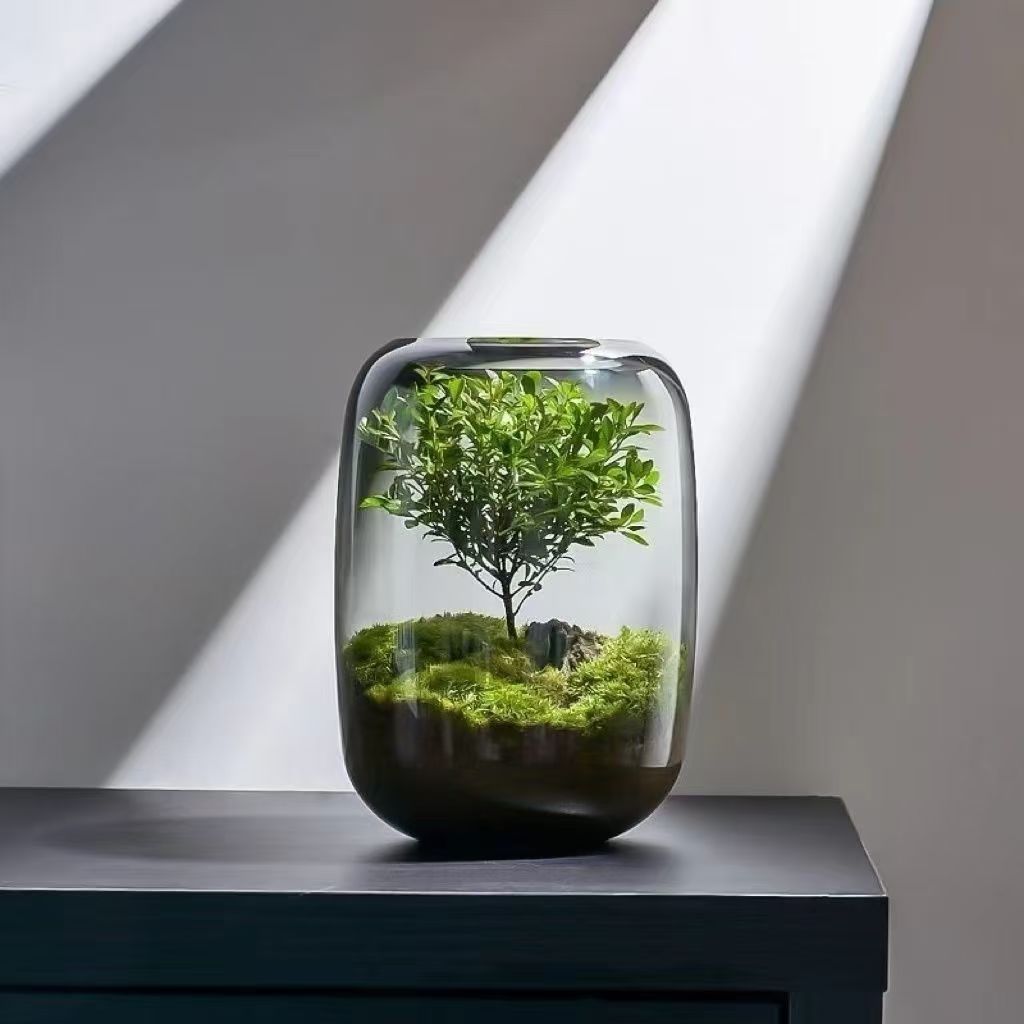 Valuebabad Clear Glass Propagation Vase for Plant Cuttings product photograph 1