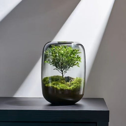 Valuebabad Clear Glass Propagation Vase for Plant Cuttings product photograph 1